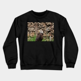 A teen Bald Eagle Crewneck Sweatshirt